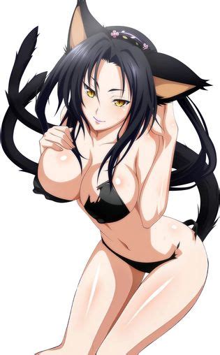 Kuroka Luscious Hentai Manga Porn