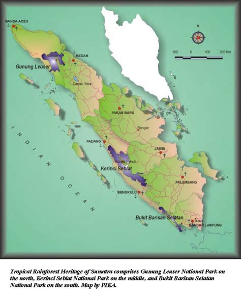 About Gunung Leuser - Gunung Leuser National Park