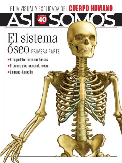 As Somos El Cuerpo Humano Fasc Culo Digital