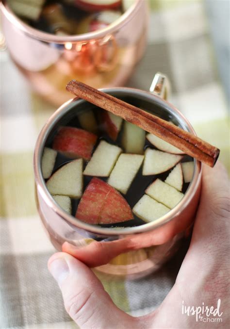 Apple Cinnamon Hot Toddy Recipe Tasty And Warm Fall Cocktail