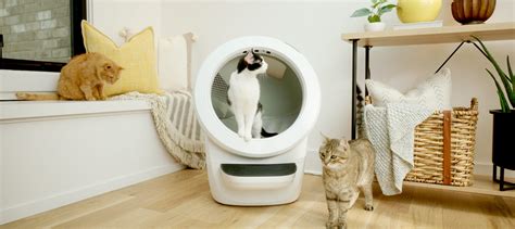 Best Self Cleaning Litter Boxes For Multiple Cats Buying Store Full