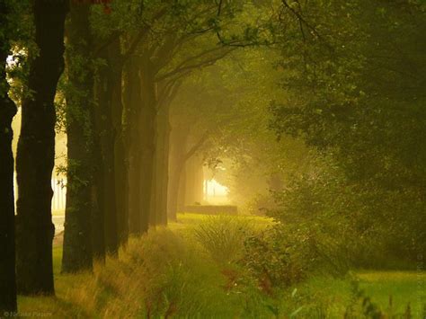 Fiind baiet paduri cutreieram...