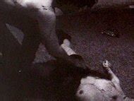 Naked Karen Wexler In Night Owl