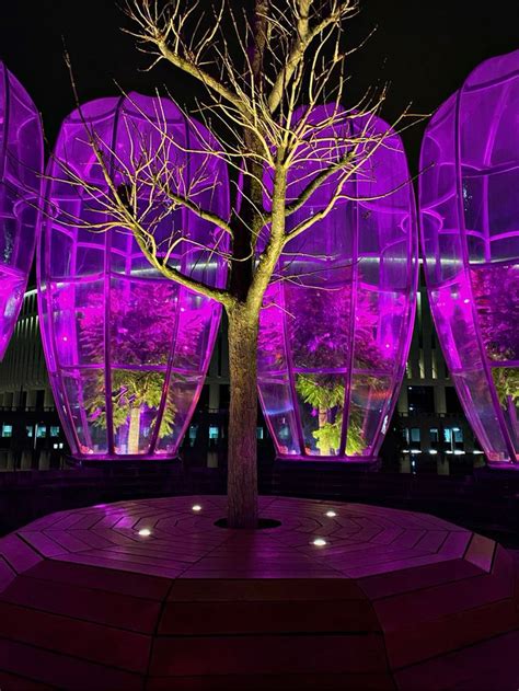 Purple Glass Domes at Night