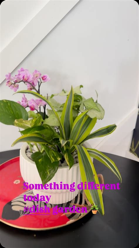 Roots and Blooms Flower Shop - So many exciting updates as we countdown