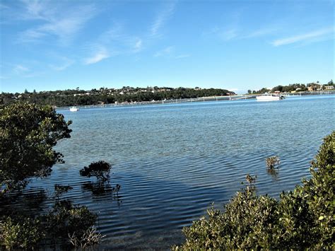 Merimbula near town centre.