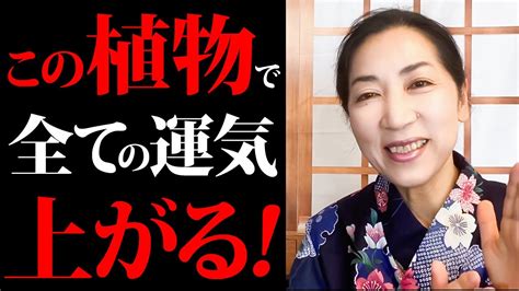 金運・健康運・恋愛運 全て爆上がる観葉植物 Youtube