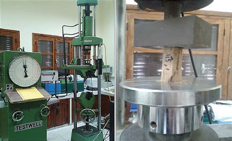Experimental Setup For The Compression Test Left Photograph