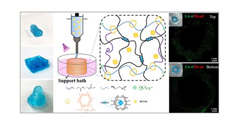 Slide Ring Structure Based Double Network Hydrogel With Enhanced