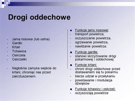 2 36 Budowa i funkcje układu oddechowego ppt video online pobierz