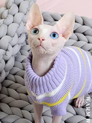 Pin by Кот Додо on Быстрое сохранение Cute cats Cute hairless cat