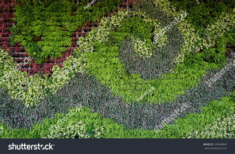 Variety Plants Vertical Garden Texture Wall Stock Photo 320448842 ...