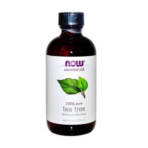 Эфирное масло Now Foods Tea Tree чайного дерева, 118 мл - купить на EVA ...