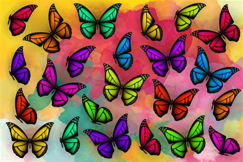 Butterflies By Lelkaphilka On Deviantart
