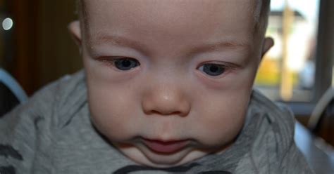 Me Myself I How A Boy Becomes A Boob Man