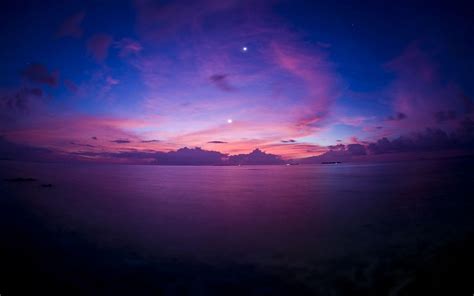 Purple Nature Wallpapers - Top Free Purple Nature Backgrounds