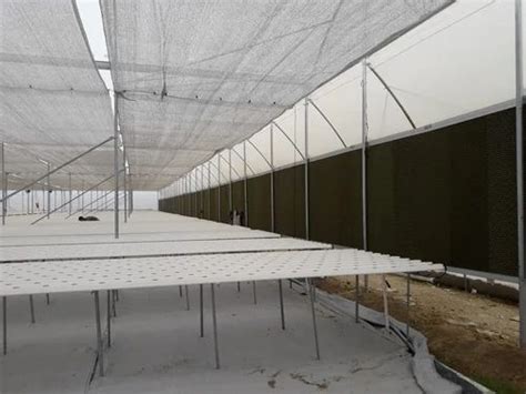 Polyester Modular Agriculture Greenhouse Structure At Rs Square