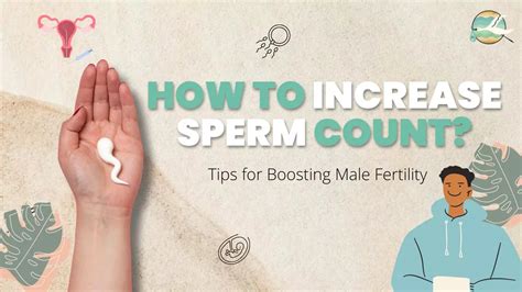 How To Increase Sperm Count Expert Tips For Boosting Male Fertility