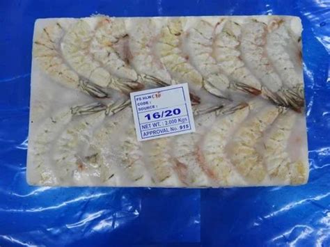 Headless White G Shrimps Prawns At Best Price In Chennai By Kvm