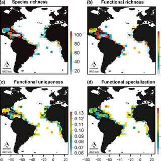 Spatial Patterns Of Vertebrate Diversity In Atlantic Ocean Reefs A