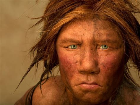 Neanderthal Red Hair Neanderthals Understood Symbols And Created Art