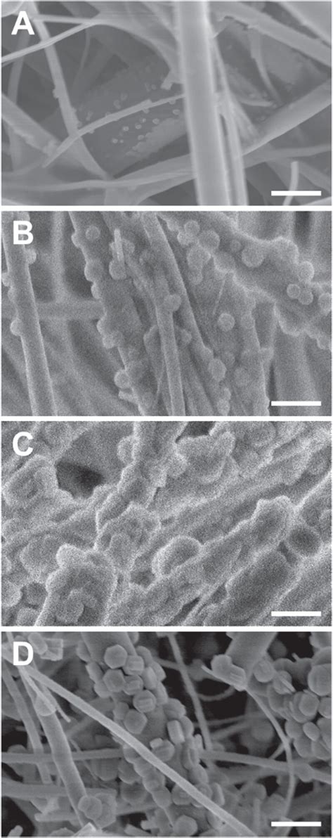 sem images   converted silica wool  silica membranes