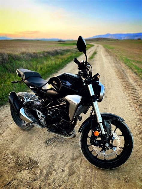 Naked Motorcycles Models Photos Reviews Bike Net