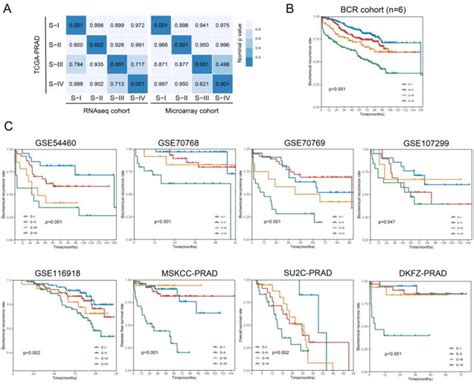 Microrna Regulated Transcriptome Analysis Identifies Four Major