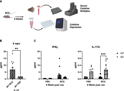 Frontiers Il 27 Alters Inflammatory Cytokine Expression And Limits