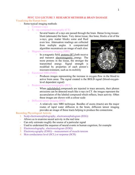 Psyc Lecture Psyc Warning Tt Undefined Function