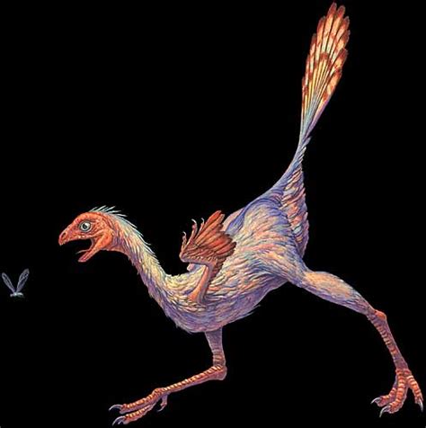 Prehistoric Chicken Bagok Ashley King Flickr