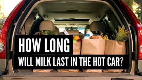 11 Tips To Keep Milk Cool And Safe In A Hot Car