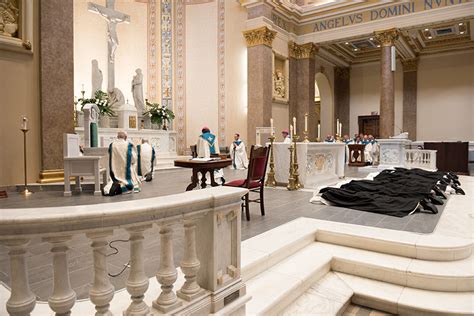 Eight Dominican sisters make final profession of vows - Tennessee Register