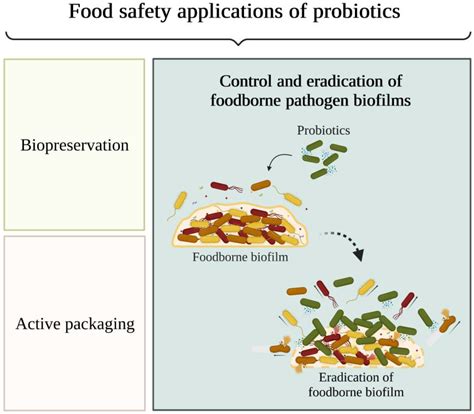 Probiotics To Control Biofilm Formation In Food Industries