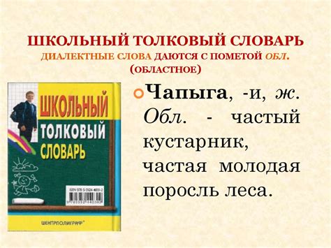 Диалектизмы. Профессионализмы - презентация онлайн