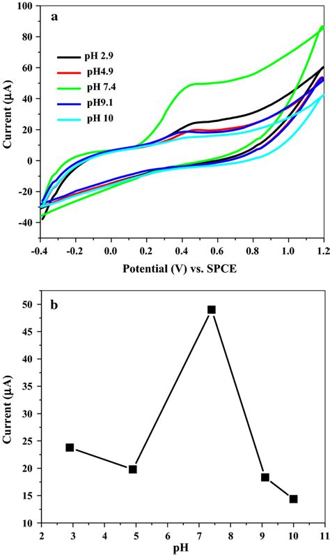 A Cyclic Voltammograms Of Mm Aa At Different Ph In M Pbs B