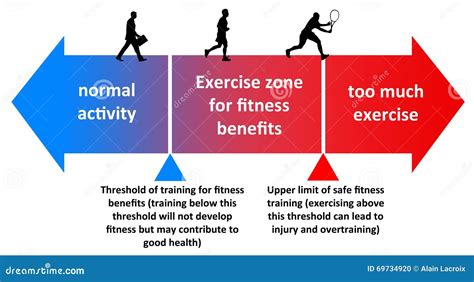 Training Zones Vector Illustration. Labeled Healthy Sport Exercise ...