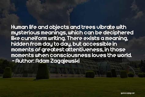 Top 28 Quotes & Sayings About Hidden Meanings