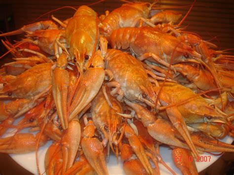 Раки вареные вкуснейшие 2 - пошаговый рецепт с фото