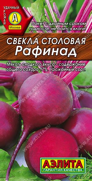 Свекла Рафинад: особенности и характеристики сорта, агротехника посадки ...