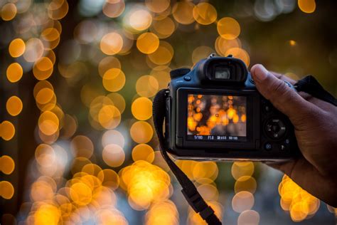 Understanding ISO, Shutter Speed, and Aperture - ANIMOTICA Blog