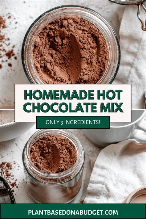 Homemade Vegan Hot Chocolate Mix - Plant-Based on a Budget