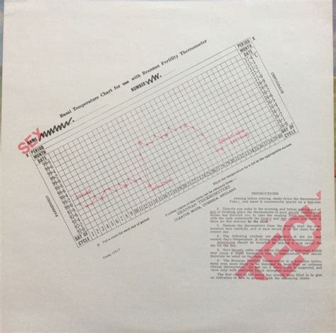 Au Pairs Playing With A Different Sex Used Vinyl High Fidelity Vinyl Records And Hi Fi