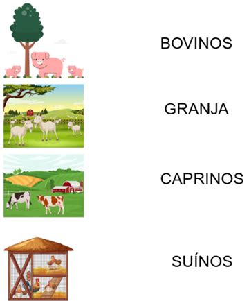 Atividade Sobre Pecuaria - Atividade sobre a Pecuária para o 3º ano fundamental - Tudo Sala de Aula