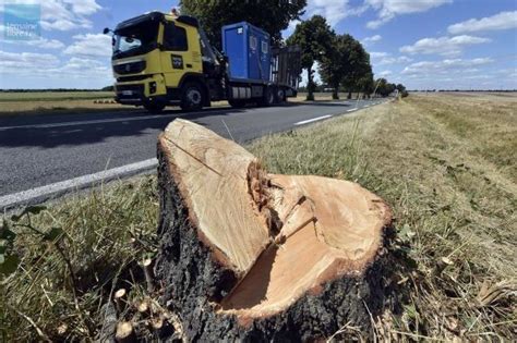 Pol Mique En Vend E Platanes Abattus Pour Laisser Passer Des