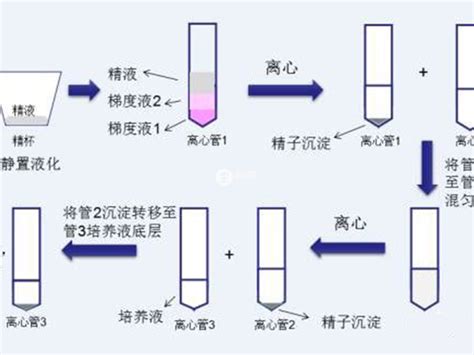 Hiv洗精 国内艾滋病洗精术机构名单 嗣恩