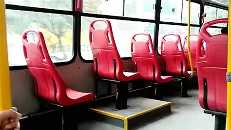 Jugando Con Mi Dildo En El Parque XHamster