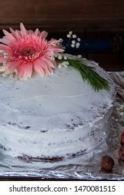 Naked Chocolate Cake Buttercream Stock Photo Shutterstock