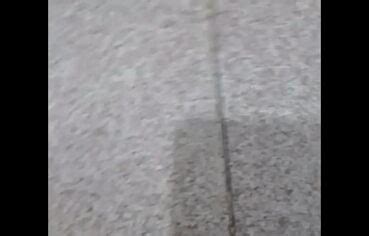 Elles Club Videos Free Porn Indian Videos Xxxporndesi