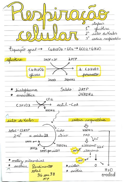 MAPA MENTAL SOBRE RESPIRAÇÃO CELULAR Maps4Study